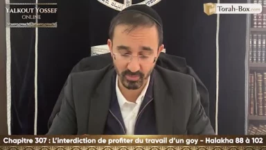 L'interdiction de profiter du travail d'un Goy (Halakha 88 à 102)