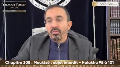 Mouktsé (objet interdit) (Halakha 95 à 101)