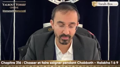 Chasser et faire saigner pendant Chabbath (Halakha 1 à 9)