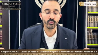 Les lois de Pessa'h - Chabbath Hagadol & Recherche du ’Hamets (Halakha 4 à 6)