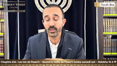 Les lois de Pessa'h - Quand la veille de Pessa'h tombe samedi soir (Halakha 14 à 19)