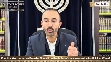Les lois de Pessa'h - Quand la veille de Pessa'h tombe samedi soir (Halakha 42 à 47)