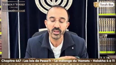 Les lois de Pessa'h - Le mélange du 'Hamets (Halakha 4 à 11)