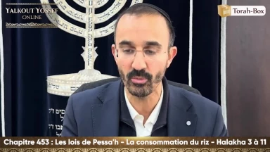 Les lois de Pessa'h - La consommation du riz (Halakha 3 à 11)
