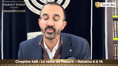 La veille de Pessa'h (Halakha 6 à 14)