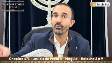 Les lois de Pessa'h - Maguid (Halakha 2 à 9)
