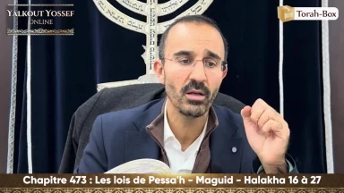 Les lois de Pessa'h - Maguid (Halakha 16 à 27)