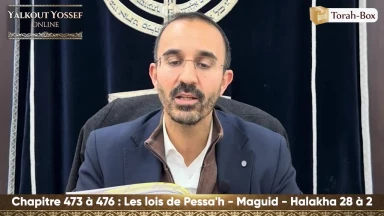 Les lois de Pessa'h - Maguid (Halakha 28 à 2)