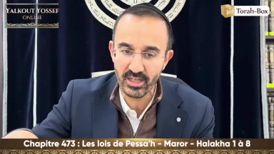 Les lois de Pessa'h - Maror (Halakha 1 à 8)