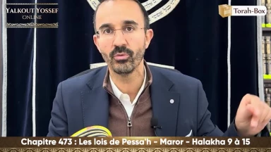 Les lois de Pessa'h - Maror (Halakha 9 à 15)