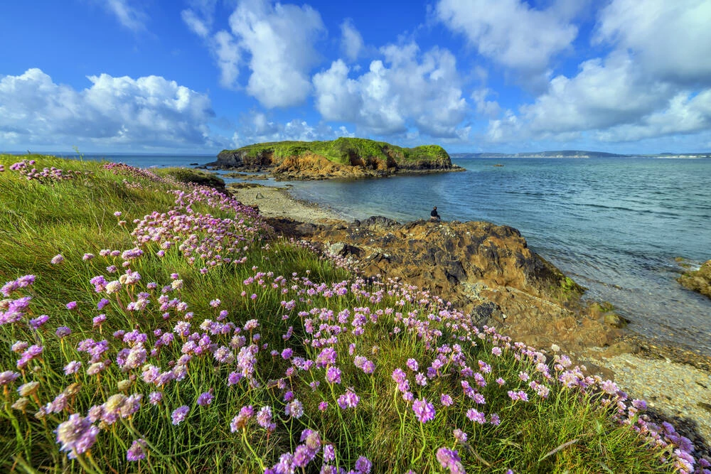 &Ccedil;a s&rsquo;est pass&eacute; un&hellip; 20 mars - Le Printemps est arriv&eacute;