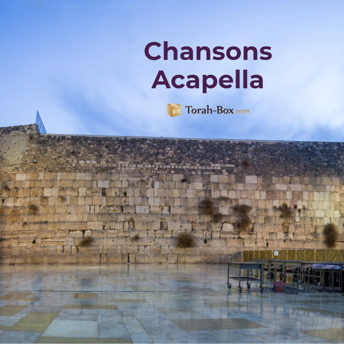 Les nouvelles musiques A Capella sur Torah-Box Music