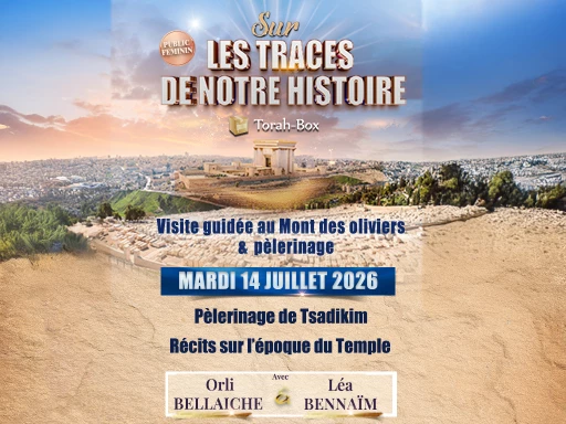 Sur les traces de notre histoire