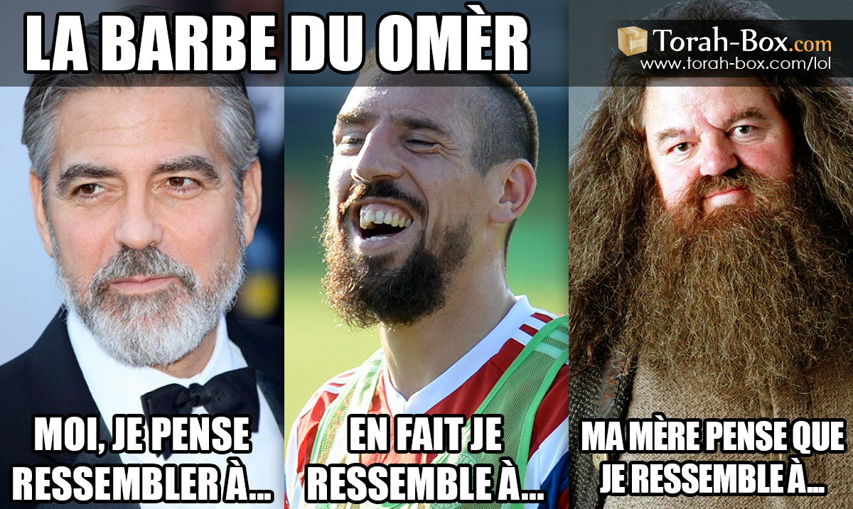 Avec Et Sans Barbe Humour Humour - La barbe du Omèr