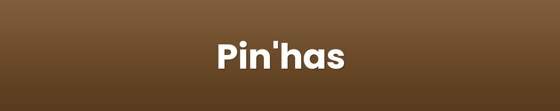 Pin'has