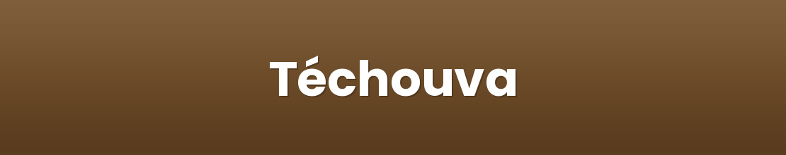Téchouva