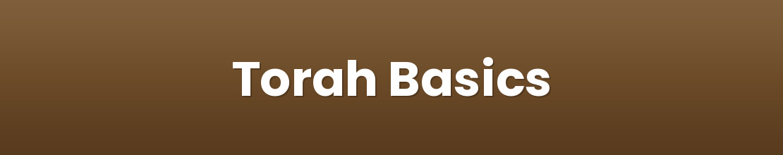 Torah Basics