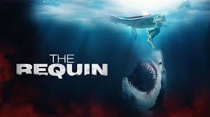 Miroir, miroir - Sweet, Sleepy Shark&hellip;!