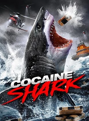 Miroir, miroir - Sweet, Sleepy Shark&hellip;!