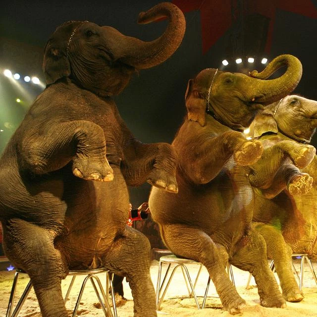 Miroir, miroir - Un voile noir sur la neige de Crans -Montana