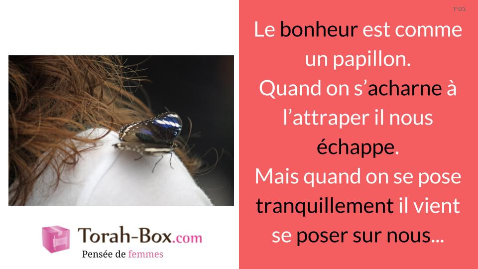 Pensee De Femmes Le Bonheur C Est Comme Un Papillon