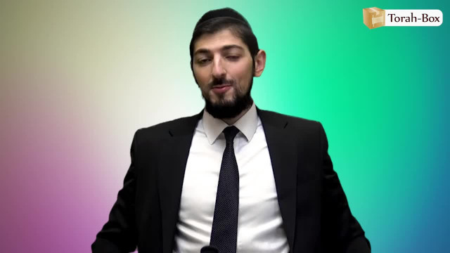 Bo - Quand l'ordinaire devient miracle