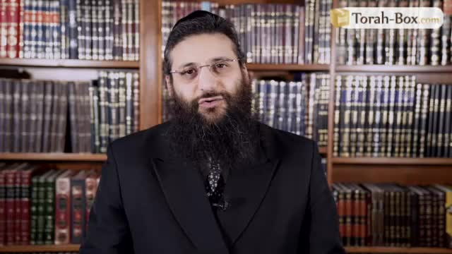 Capsule "Harcèlement scolaire"