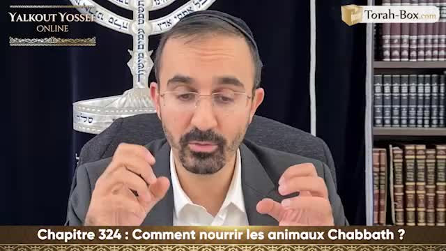 Comment nourrir les animaux Chabbath