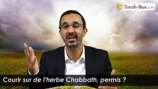Courir sur de l'herbe Chabbath, permis ?