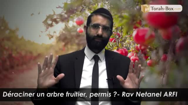 Déraciner un arbre fruitier, permis ?