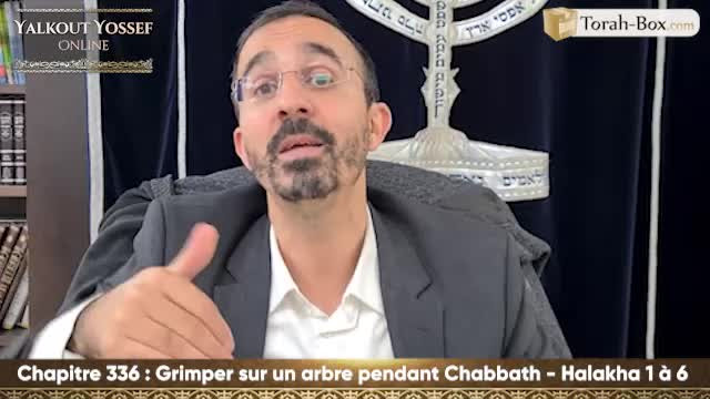 Grimper sur un arbre pendant Chabbath (Halakha 1 à 6)