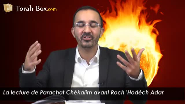 Lecture de Parachat Chékalim avant Roch 'Hodèch Adar