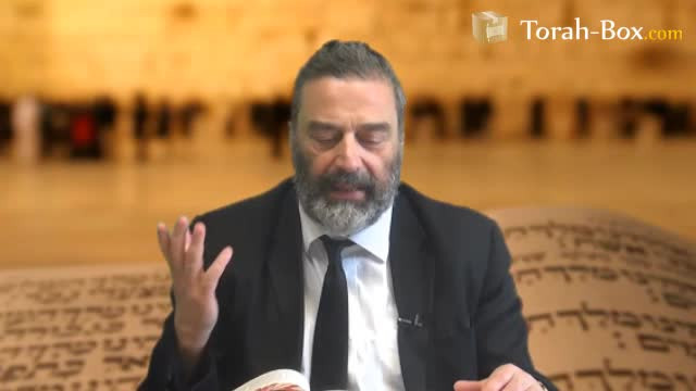 Les 4 niveaux du Don de la Torah