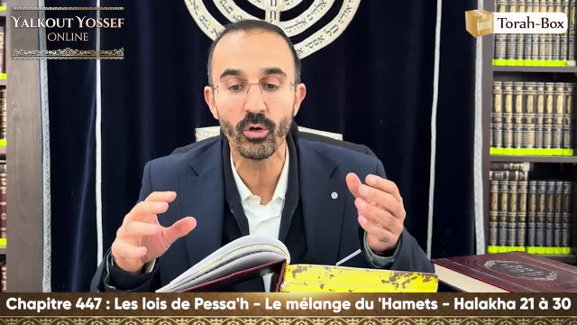 Les lois de Pessa'h - Le mélange du 'Hamets (Halakha 21 à 30)