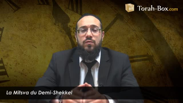 Ma'hatsit Hachékel : la Mitsva du Demi-Chékel