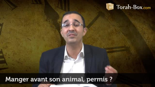 Manger avant son animal, permis ?
