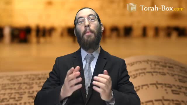 Pessa'h : la plus belle des libertés !