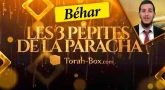 Les 3 Pépites de la Paracha Béhar