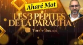 Les 3 Pépites de la Paracha A'haré Mot