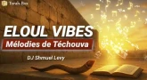 ELOUL VIBES - mélodies de Téchouva