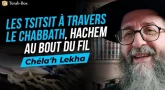 Le Message de la Paracha Chéla'h Lékha - Les Tsitsit à travers le Chabbath, Hachem au bout du fil