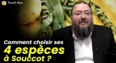 Comment choisir ses 4 espèces à Souccot ? En profondeur...