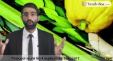 Pourquoi réunir les 4 espèces de Souccot ?