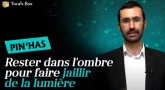 Rav Yohanan Uzan nous parle de la Paracha Pin'has : "Rester dans l'ombre pour faire jaillir de la lumière"