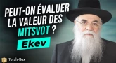 Le Message de la Paracha - Ekev : Peut-on évaluer la valeur des Mitsvot ?!
