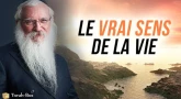 Le vrai sens de la VIE