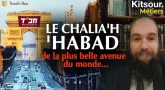 "Le Chalia'h 'Habad De La Plus Belle Avenue Du Monde..." Kitsour. Métiers