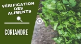 Vérification des aliments : Coriandre 