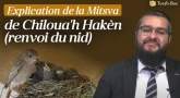 Explications de la Mitsva de Chiloua'h Hakèn - renvoi du nid