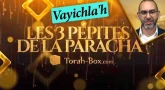 Les 3 Pépites de la Paracha Vayichla'h